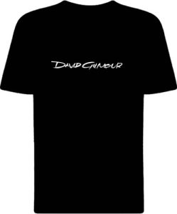 Футболка David Gilmour view 1