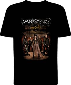 Футболка Evanescence view 2