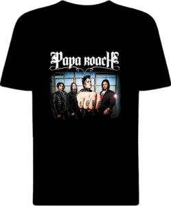 Футболка Papa Roach Group