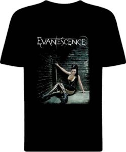 Футболка Evanescence Wall