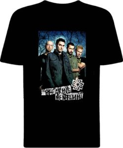 Футболка Breaking Benjamin Group