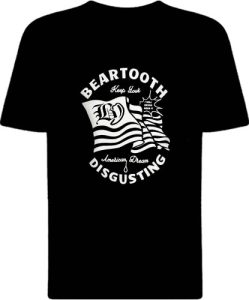 Футболка Beartooth Disgusting Flag