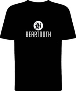 Футболка Beartooth Logo view 2