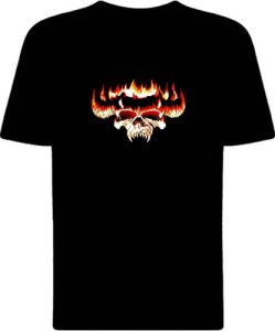 Футболка Danzig Fire Skull