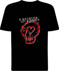 Футболка 5 Seconds of Summer Punk Skull