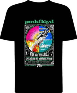 Футболка Pink Floyd Wish