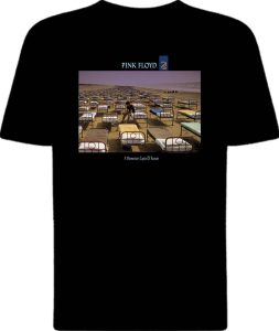 Футболка Pink Floyd A Momentary Lapse of Reason view 1